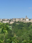 DSCN2179.jpg