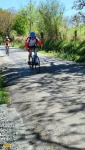 IMG20250418154939.jpg IMG20250418154939.jpg
