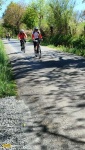 IMG20250418154950.jpg IMG20250418154950.jpg