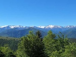 20250530_105437.jpg