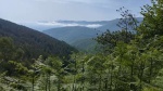 IMG_20250601_101113.jpg