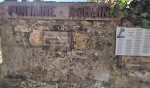 20250906_103116.jpg