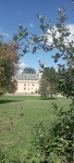 IMG_20250905_144938.jpg