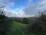 IMG-20251006-WA0003.jpg