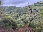 IMG-20251006-WA0009.jpg