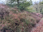 IMG-20251006-WA0011.jpg