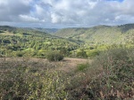 IMG-20251006-WA0013.jpg