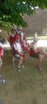 IMG_20260619_140332.jpg