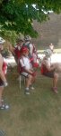 IMG_20260619_140333.jpg