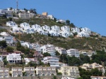 Rosas 50.jpg