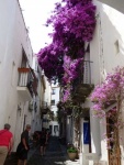 Rosas 56.jpg