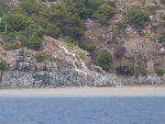 Rosas 62.jpg