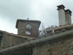 P1080280.jpg